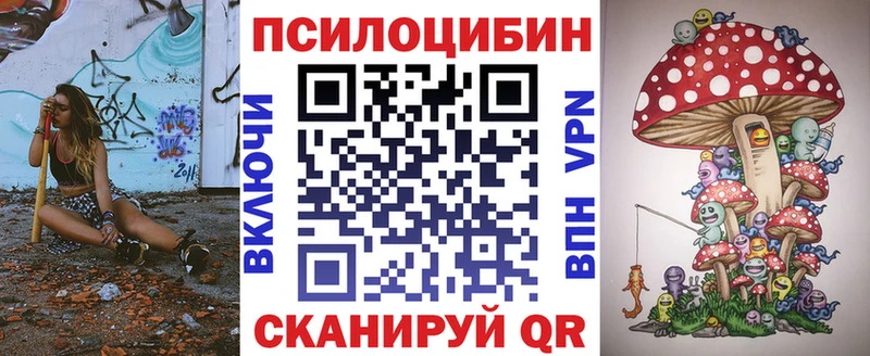 Купить где  Покров  Псилоцибиновые грибы ЛСД 